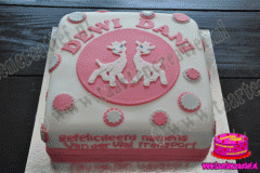 geboorte-taart-2-2014