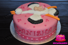 geboorte-taart-4