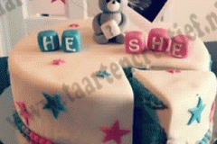 gender-taart-2