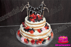 bruids-taart-naked-cake-5-2016