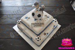 communietaart-11-2015