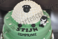 communietaart-20-2015