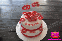 communietaart-5-2015