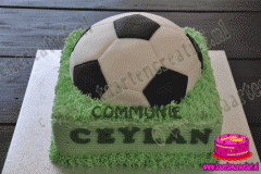 communietaart-9-2015