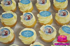 frozen-cupcakes-3