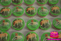 paarden-cupcakes-2