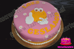 geslaagd-taart-01-2014