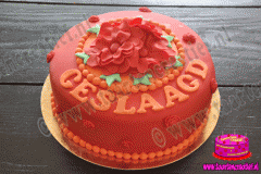 geslaagd-taart-1-2015