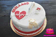 geslaagd-taart-1-2017