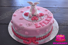 kinder-taart-2